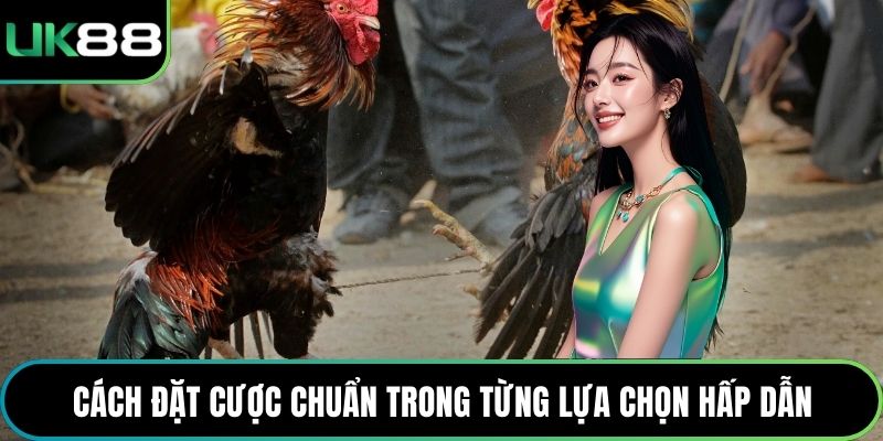 Cách đặt cược chuẩn trong từng lựa chọn hấp dẫn