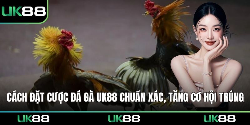 Cách Đặt Cược Đá Gà UK88
