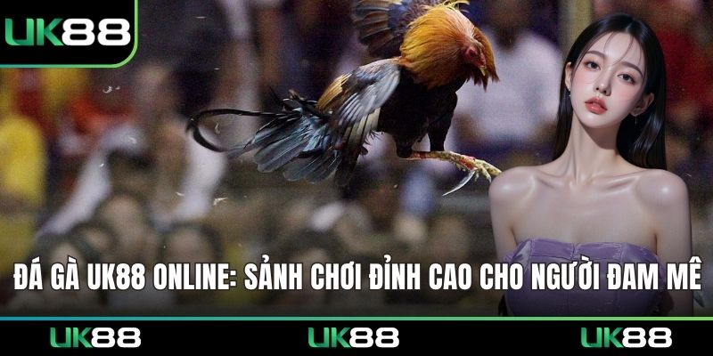 Đá gà UK88 online