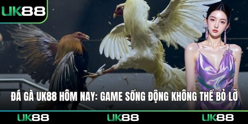 Đá Gà UK88 Hôm Nay