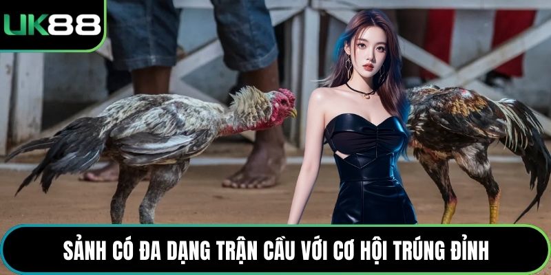 Sảnh có đa dạng trận cầu với cơ hội trúng đỉnh